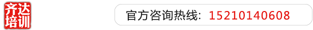 骚逼飞机色网址齐达艺考文化课-艺术生文化课,艺术类文化课,艺考生文化课logo